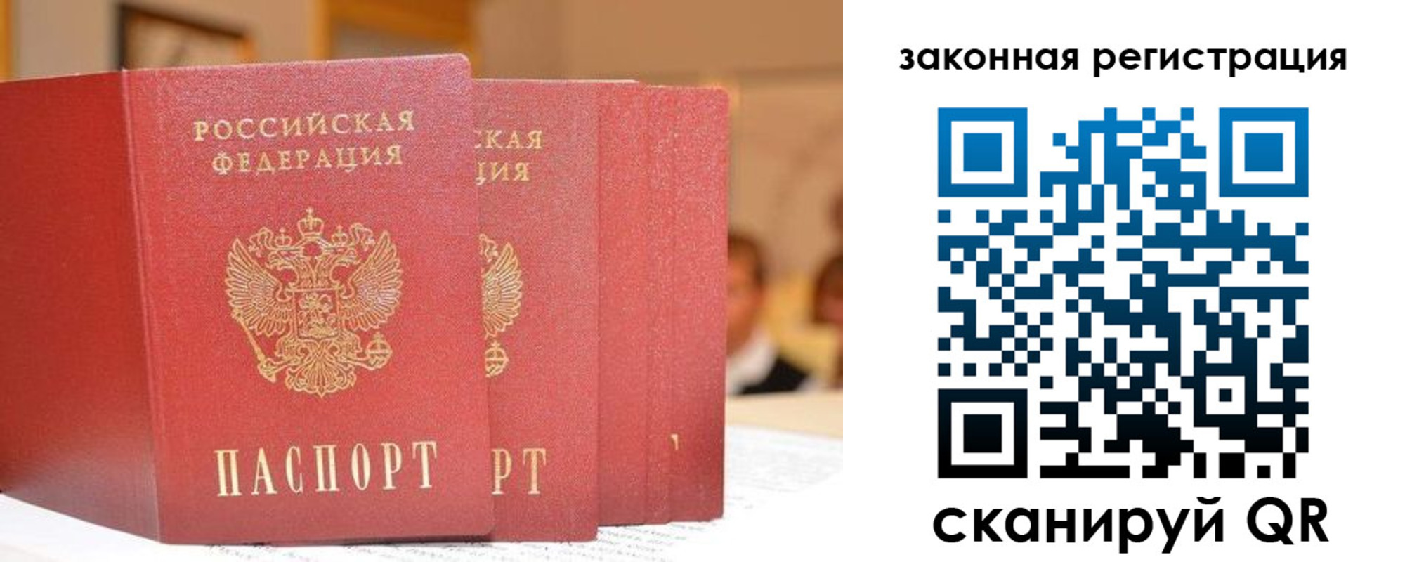 прописка поиск в Нелидово
